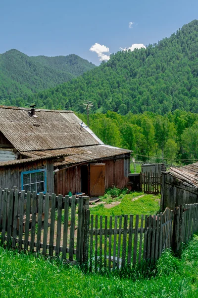 Republiken av Altaibergen — Stockfoto