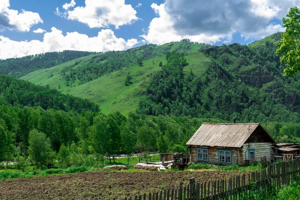 Repubblica dei Monti Altai — Foto Stock