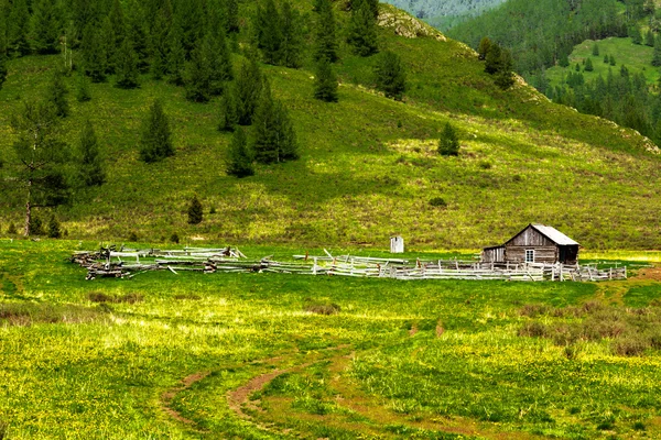 Köztársaság az Altaj-hegység — Stock Fotó
