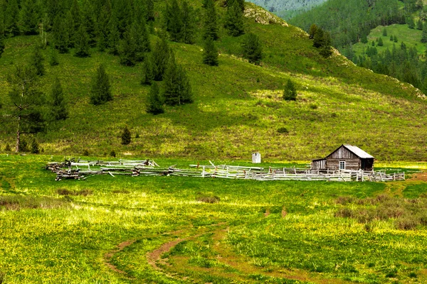 República de montanhas altai — Fotografia de Stock