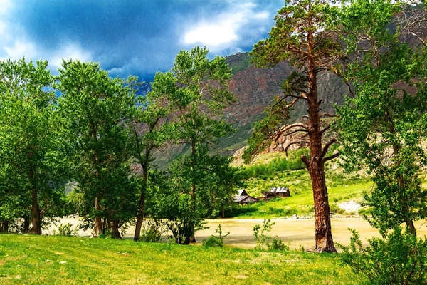 Dans une vallée de montagne — Photo