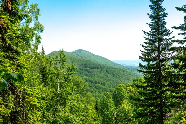 República de las Montañas Altai — Foto de Stock