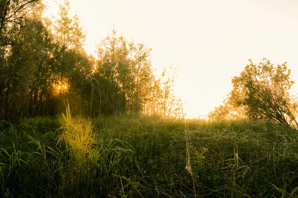 A settembre, il lago — Foto Stock