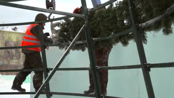 Montaje Chaqueta Casco Instalación Del Árbol Navidad — Vídeos de Stock