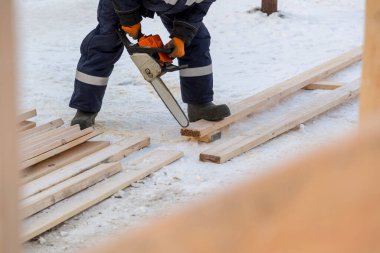 Elektrikli testereyle kesilmiş bir testerenin portresi.