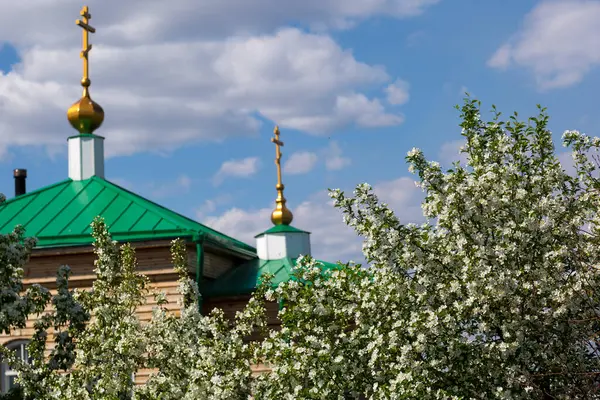 Huerto Manzanas Florece Junto Iglesia Ortodoxa Contra Cielo Azul — Foto de Stock