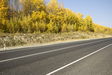 sonbahar manzaraları