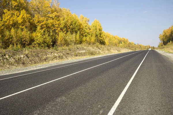 Autumn landscapes — Stock Photo, Image