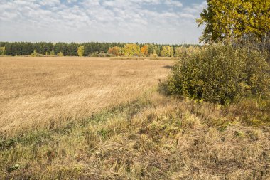 sonbahar manzaraları