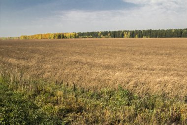 sonbahar manzaraları