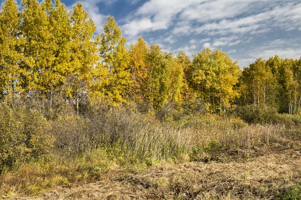 Autumn landscapes — Stock Photo, Image