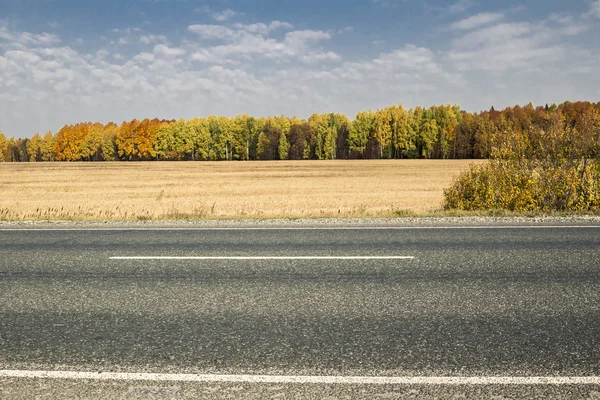 Autumn landscapes — Stock Photo, Image