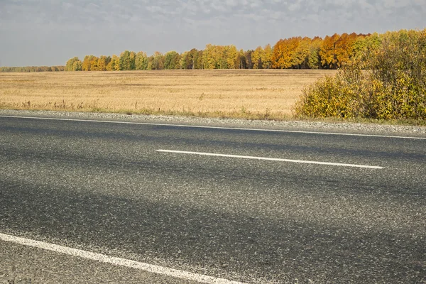 Autumn landscapes — Stock Photo, Image