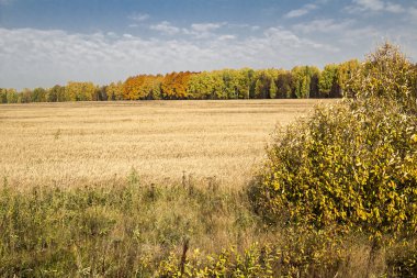 sonbahar manzaraları