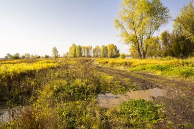 sonbahar manzaraları