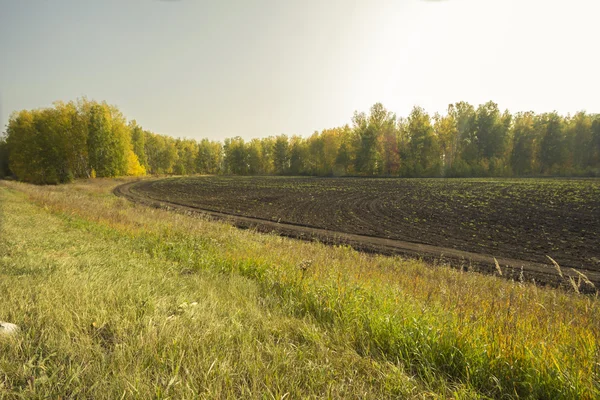 Autumn sketches. — Stock Photo, Image