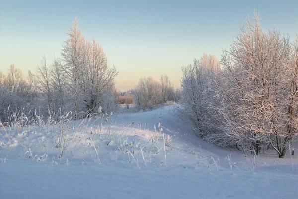 Paesaggio invernale. — Foto Stock