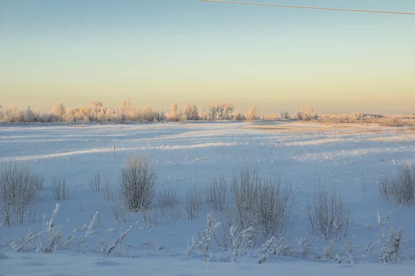 Kış manzarası. — Stok fotoğraf