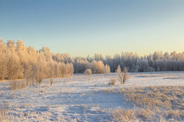 Paisagem inverno. — Fotografia de Stock