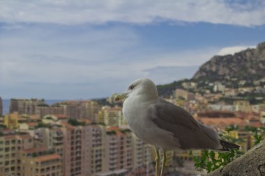  Prensliği Monako.Monte Carlo.