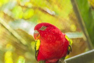 Tailand.Pattayya.Zoopark