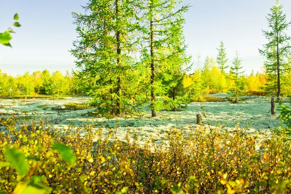 Landscapes of the Far North — Stock Photo, Image