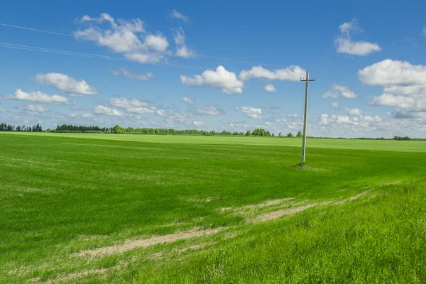 Paesaggio estivo — Foto Stock