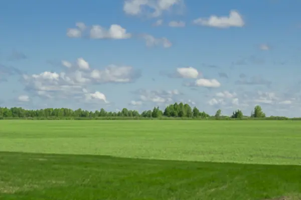 Summer landscape — Stock Photo, Image