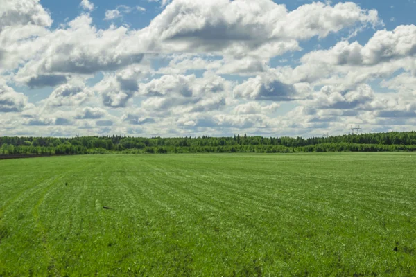 Paesaggio estivo — Foto Stock