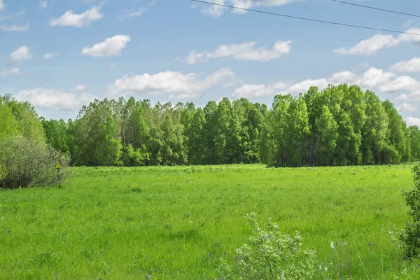 Nyári táj — Stock Fotó