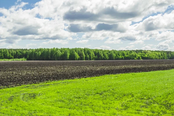 Sommerlandschaft — Stockfoto