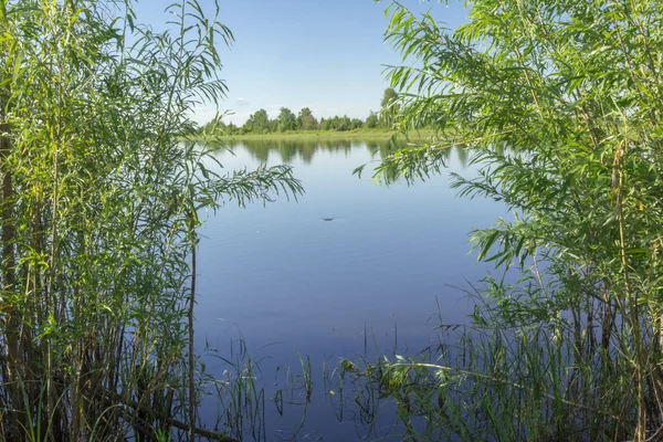 Paesaggio. — Foto Stock