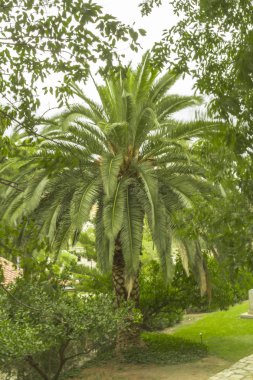 Kataloniya.Provintsiya Tarragana.