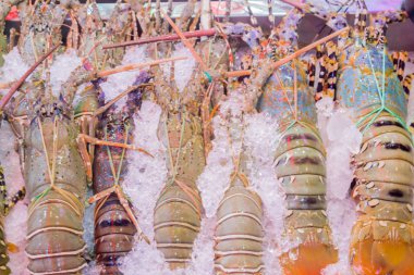 Egzotik Tayland deniz ürünleri