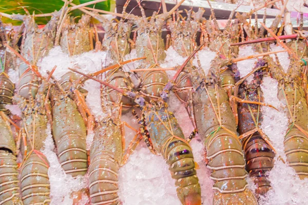 Exotische Thaise zeevruchten — Stockfoto