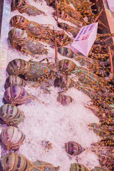 Egzotik Tayland deniz ürünleri