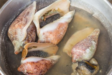 Egzotik Tayland deniz ürünleri