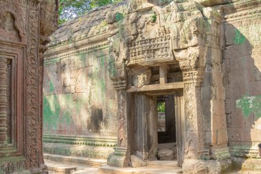 angkor arkeoloji parkı