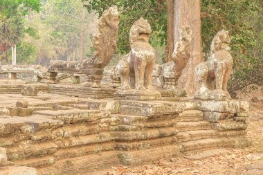 angkor arkeoloji parkı
