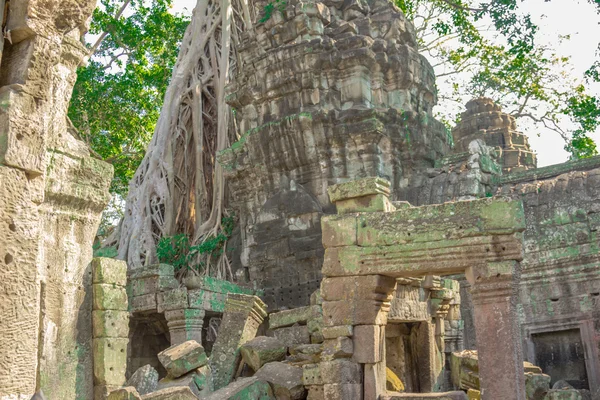 Angkor Archaeological Park — Stock Photo, Image