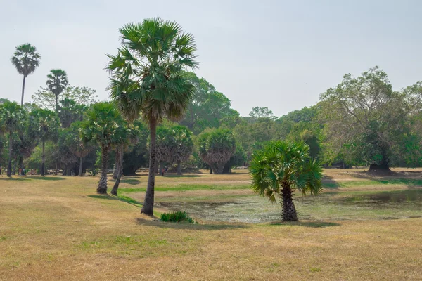 Parco archeologico di Angkor — Foto Stock