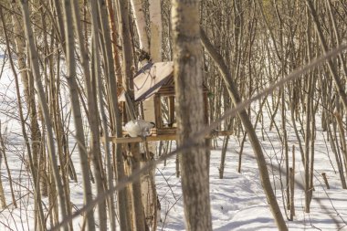 Sağlıklı yaşam tarzı