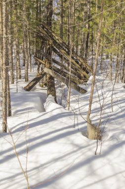 Sağlıklı yaşam tarzı