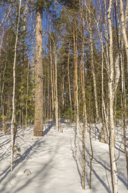 Sağlıklı yaşam tarzı