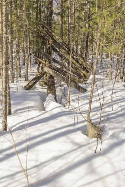 Sağlıklı yaşam tarzı
