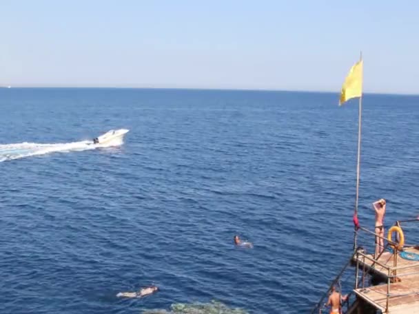 Course de bateaux à moteur devant la jetée — Video