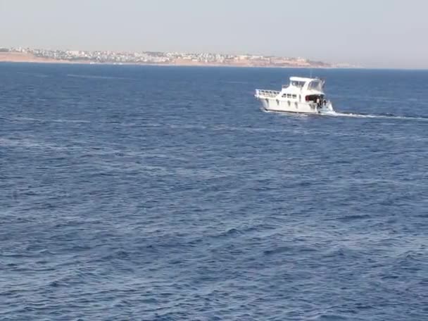 L'Egypte. Yacht à moteur blanc — Video