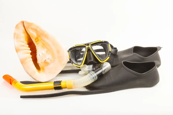 Şnorkelle Dalma için ayarla — Stok fotoğraf