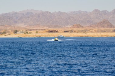 Powerboat Red Sea'deki/daki yüksek hızda yarış