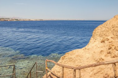 Kızıl Deniz Sahil mercan